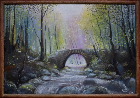  Mostek v lese