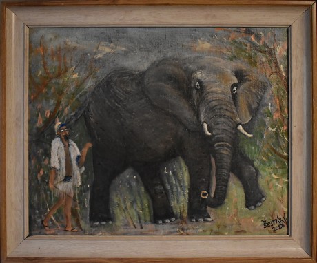 13. Slon africký