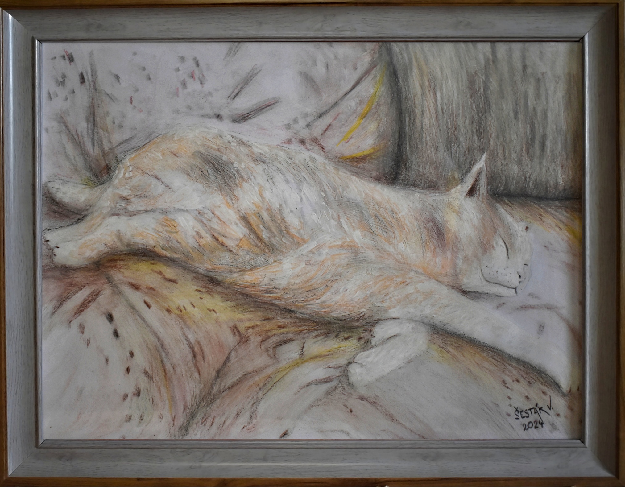 6. Gaučák, komb. technika, 2024