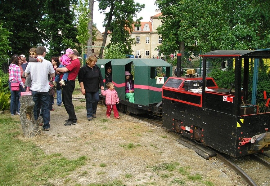svinare-6.jpg