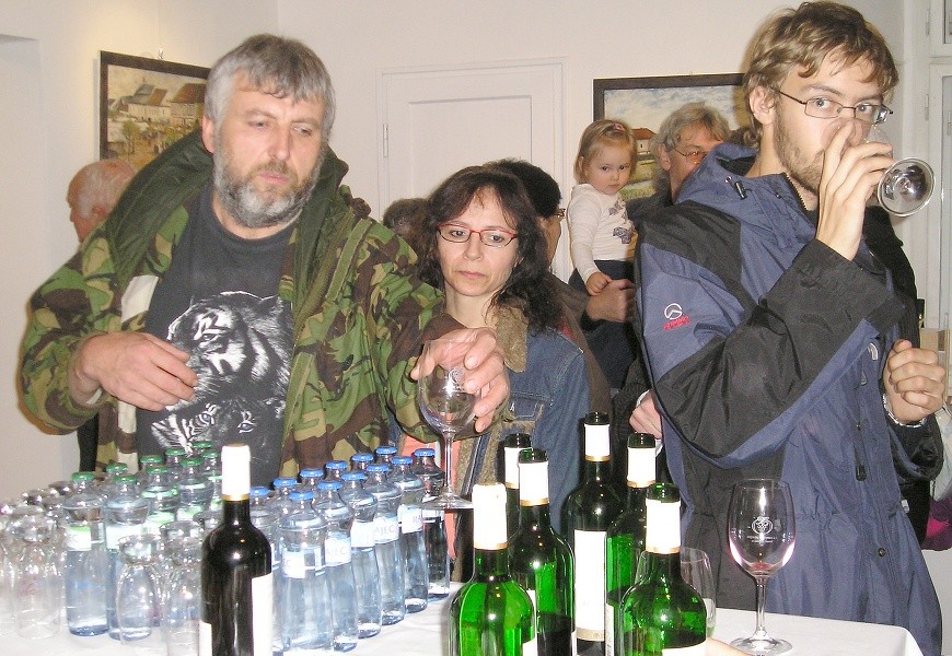 galerie-stary-zamek-horovice-vernisaz-2013--19-.jpg